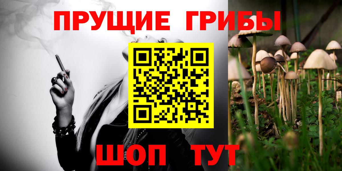Псилоцибиновые грибы Psilocybine cubensis Качканар